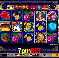 7pmbet Rio de Janeiro - Bonus Terms